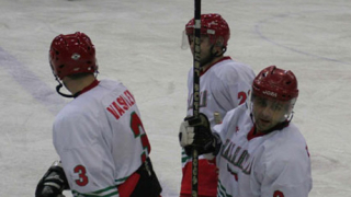 Бихме Ирландия на хокей