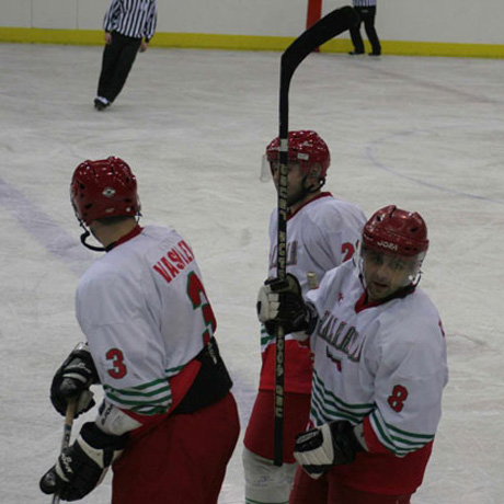 Бихме Ирландия на хокей