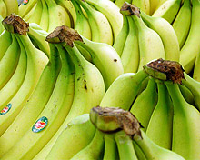 ЕС слага край на "банановите войни" с Латинска Америка