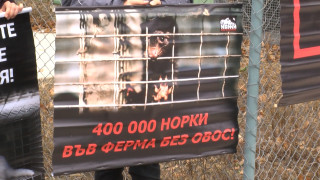 С ефектен флашмоб Г н Борисов помогнете ни под прозорците на