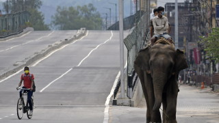 Индия отчете 6000 новозаразени с новия коронавирус за изминалото денонощие