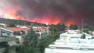 Пожар унищожи 20 къщи в Гърция