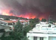 Пожар унищожи 20 къщи в Гърция