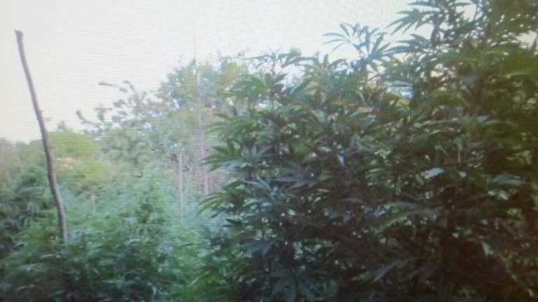 Изображение 306721