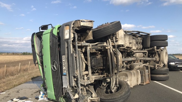 Изображение 446721