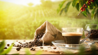 Запасите от кафе в Бразилия която е най големият износител