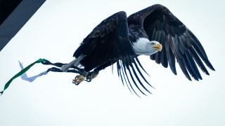 ПФК Лудогорец обяви че билетите за мача от деветия кръг