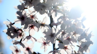 Атмосферното налягане ще бъде малко по високо от средното за март