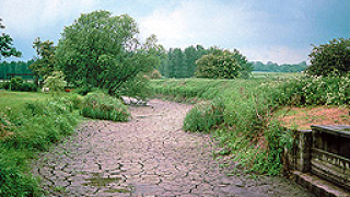 Бедствено положение в община Шумен заради сушата