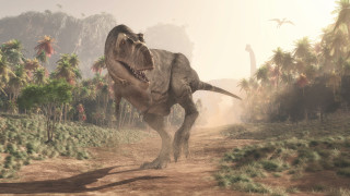 Динозаврите и всичко свързано с тях продължава да вълнува учените