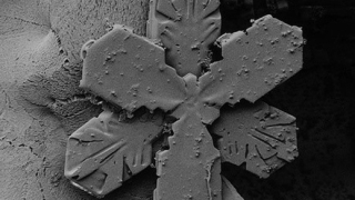 Показаха уникални микроскопични снимки на снежинки