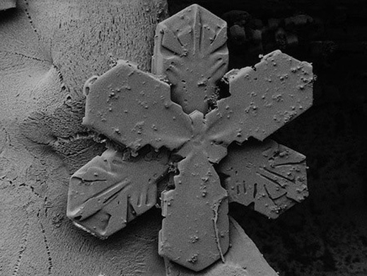 Показаха уникални микроскопични снимки на снежинки
