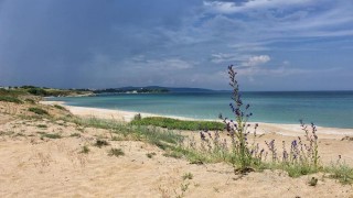 Противоконституционна е заповедта за Това е мнението на кмета