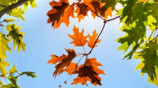 Днес ще преобладава слънчево но ветровито време Това съобщават от