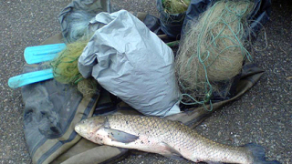 160 кг. риба конфискуваха от бракониери