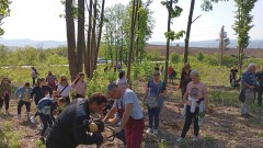 Доброволци засадиха 2 000 дръвчета в село Долна Кремена