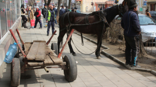 Кърджалийци се жалват от коне на роми-гурбетчии