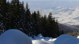 Протестна инициатива открива ски сезона на Витоша