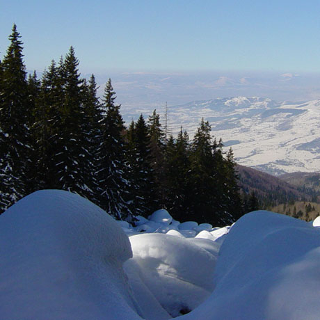 Протестна инициатива открива ски сезона на Витоша