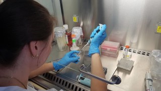 Нови тестове за хранителните инфекции подготвят от БАН 