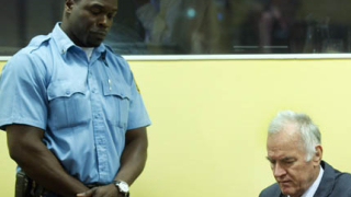 11 обвинения са повдигнати срещу  Ратко Младич