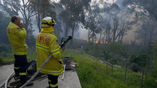 Властите в Австралия обявиха че безпрецедентен брой големи горски пожари