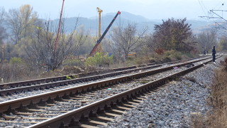 Паднало върху контактната мрежа дърво спря временно движението на влаковете