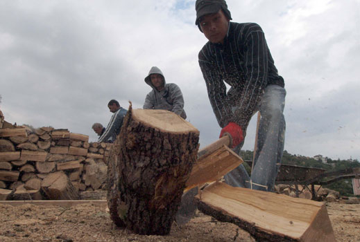 Гърци масово купуват печки на дърва от Турция