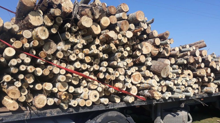 Жители на три странджански села недоволстват срещу камиони с дърва