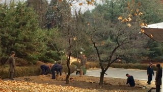 Северна Корея допълнително е укрепила участъка от границата си с