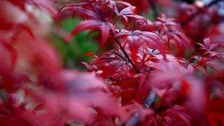 Днес ще преобладава облачно време Това съобщават от НИМХ Ще има