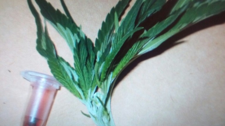 Изображение 306722