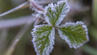 Днес ще бъде облачно Валежи ще има в Източна и