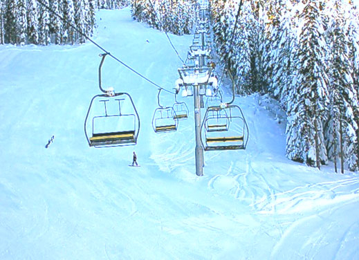 Разследват фирма в Банско