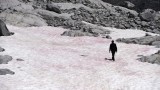 Италия, Алпите, розовият лед и защо е притеснителен сигнал