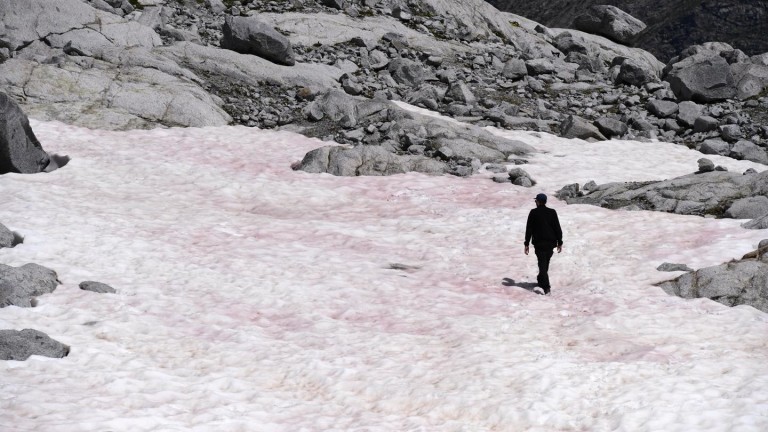 Розовият лед в Алпите, който притесни учените