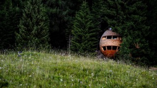 Да отседнеш в гигантска шишарка