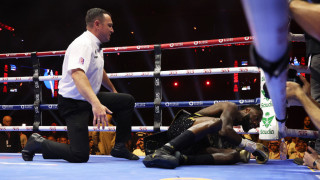 Бившият световен шампион в тежка категория на Световната боксова организация