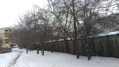 Граждани алармират за изсичане на здрави дървета в "Овча купел" 1