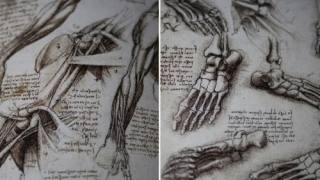 Френски пенсионер откри рисунка за 15 милиона евро