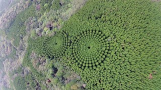 Поредица въздушни снимки предизвикаха изумление и известна паника в префектура