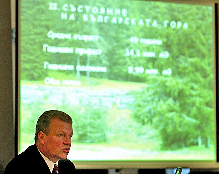 Станишев иска централна политика за горите