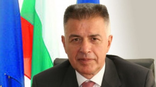 Румънската компания Пейпър инвест купува завода за целулоза в Свищов