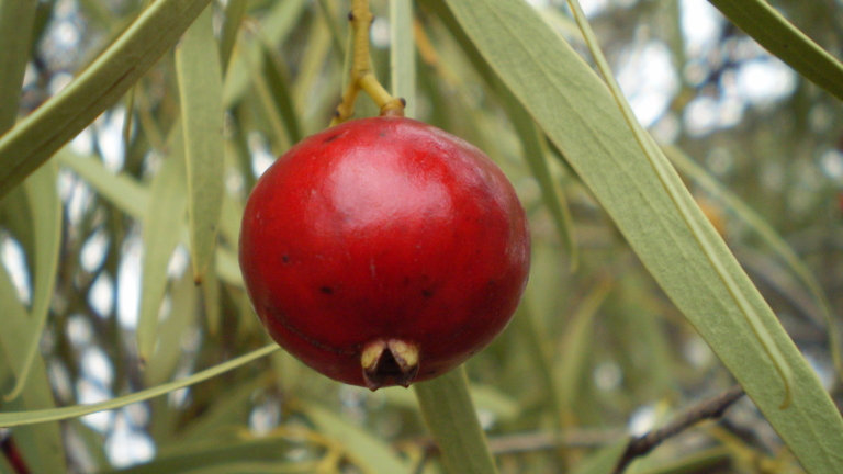 Изображение 218522