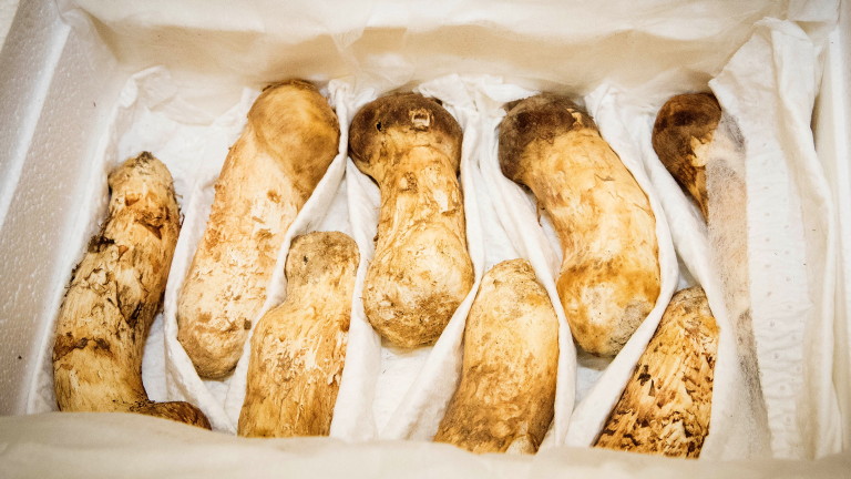 Изображение 379322