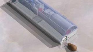 Мазната храна забавя биологичния часовник