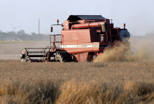 408 кг от декар е средният добив от пшеницата