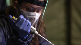 Светът все още е далеч от придобиване на стаден имунитет