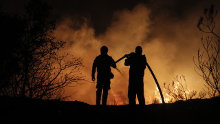 Пожар обхвана широколистна гора и сухи треви между селата Сухозем