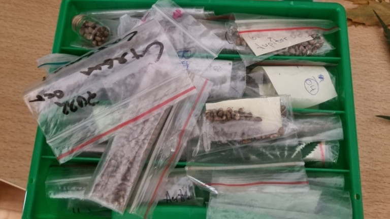 Изображение 661523